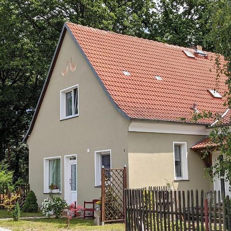Helenes Ferienwohnung Auf Dem Bauernhof - Lausitzer Seenland Lauta Ngoại thất bức ảnh