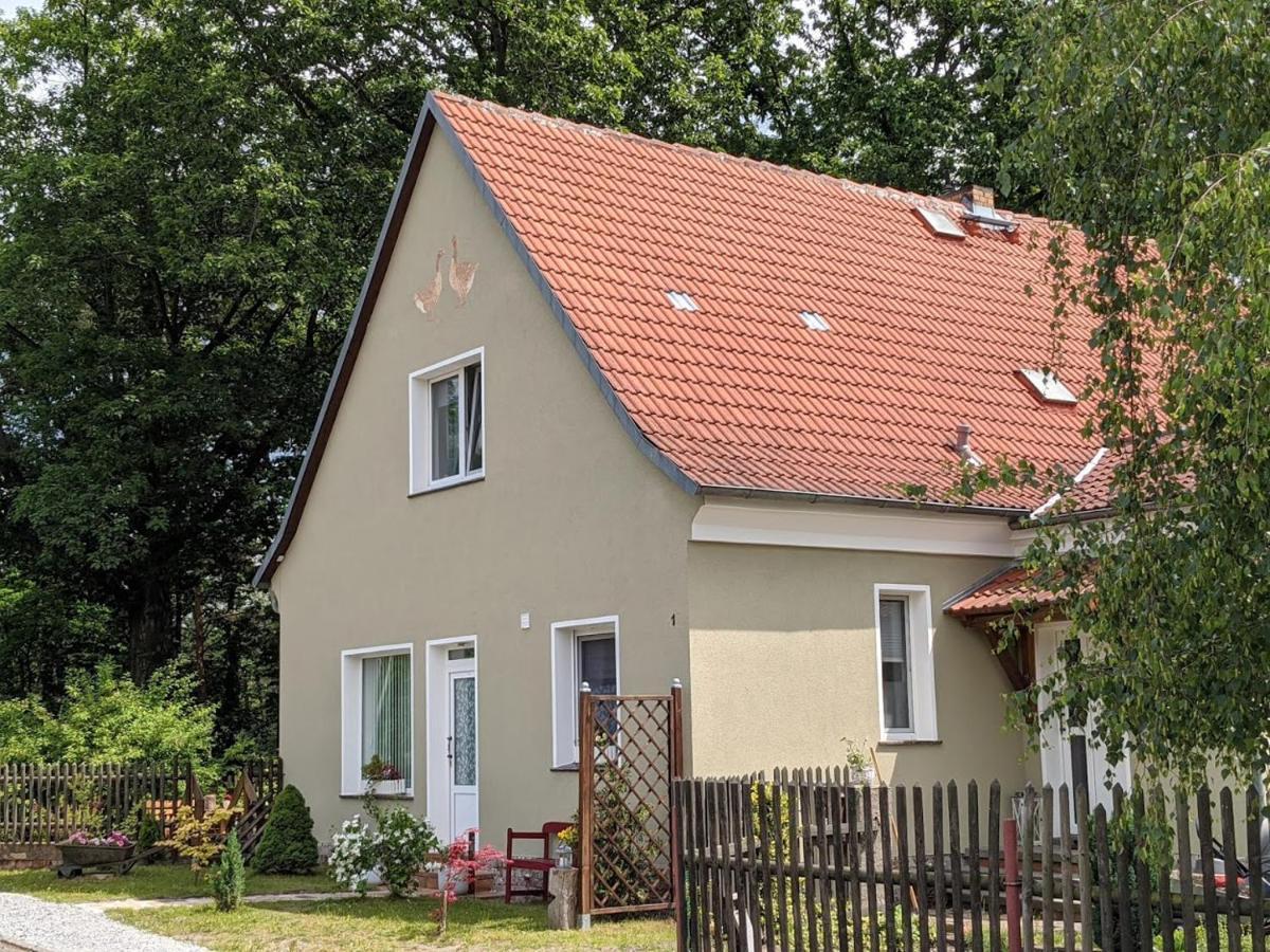 Helenes Ferienwohnung Auf Dem Bauernhof - Lausitzer Seenland Lauta Ngoại thất bức ảnh