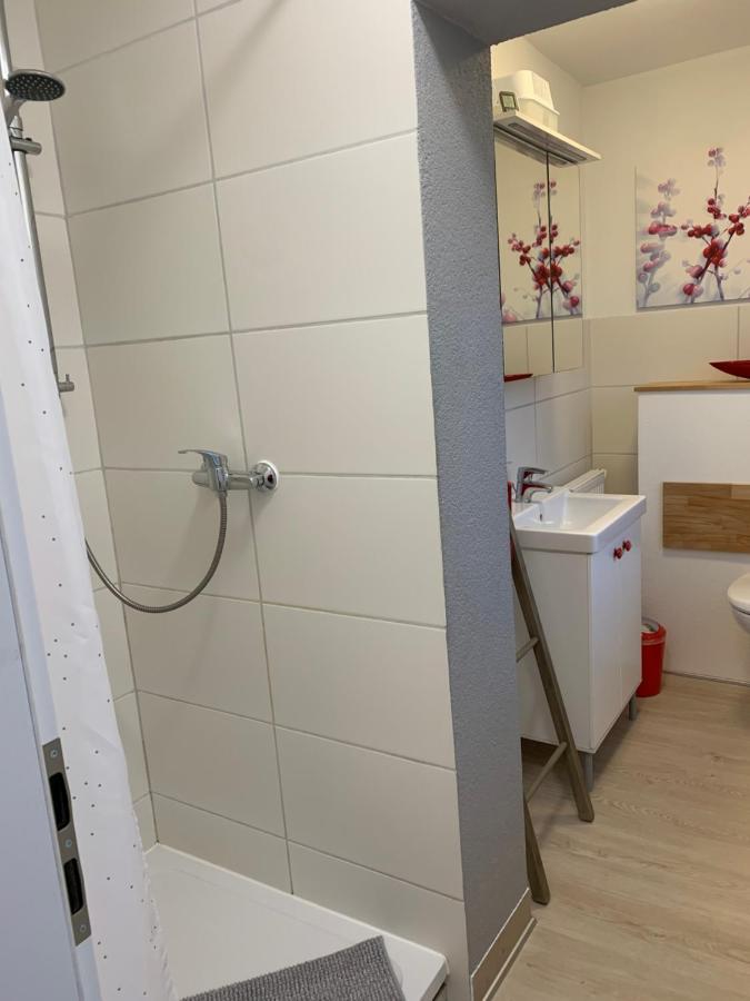 Helenes Ferienwohnung Auf Dem Bauernhof - Lausitzer Seenland Lauta Ngoại thất bức ảnh